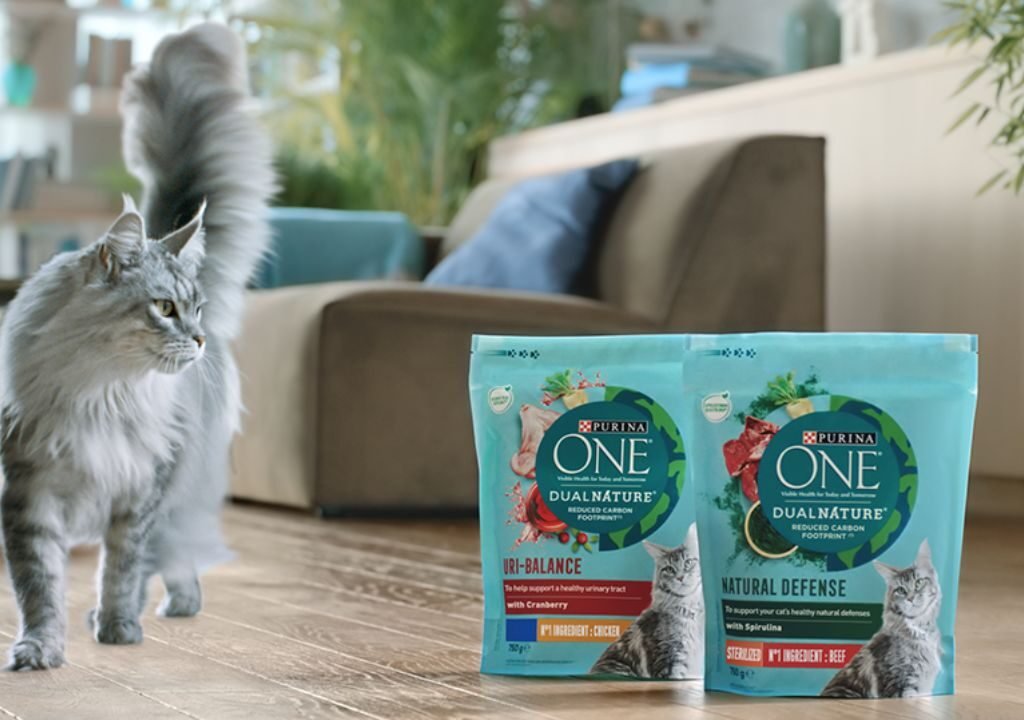 Purina ONE Cat Food Review