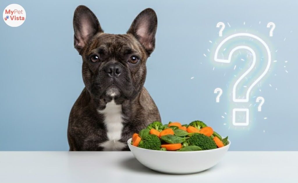 What Vegetables Can Dogs Eat