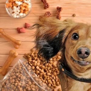 How Much Protein Is in Dog Food