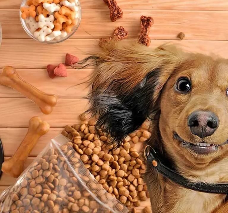 How Much Protein Is in Dog Food