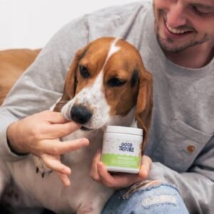 Probiotic Chews for Dogs