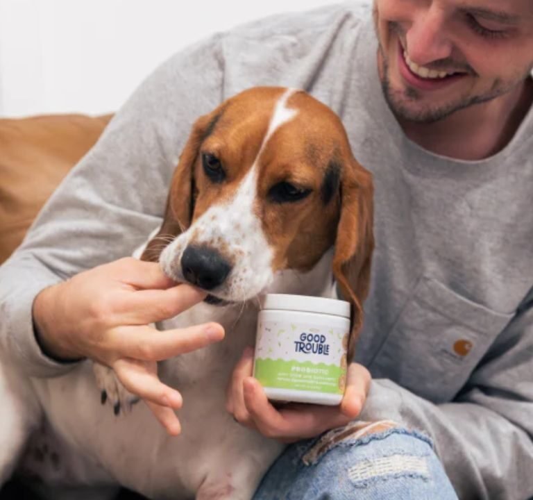 Probiotic Chews for Dogs