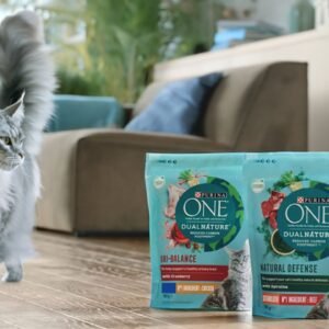 Purina ONE Cat Food Review