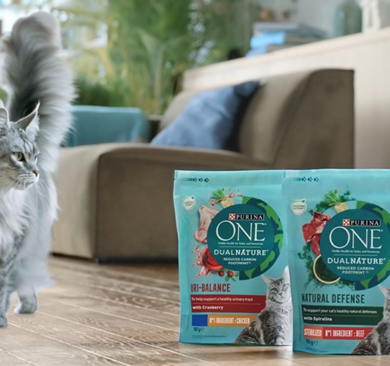 Purina ONE Cat Food Review