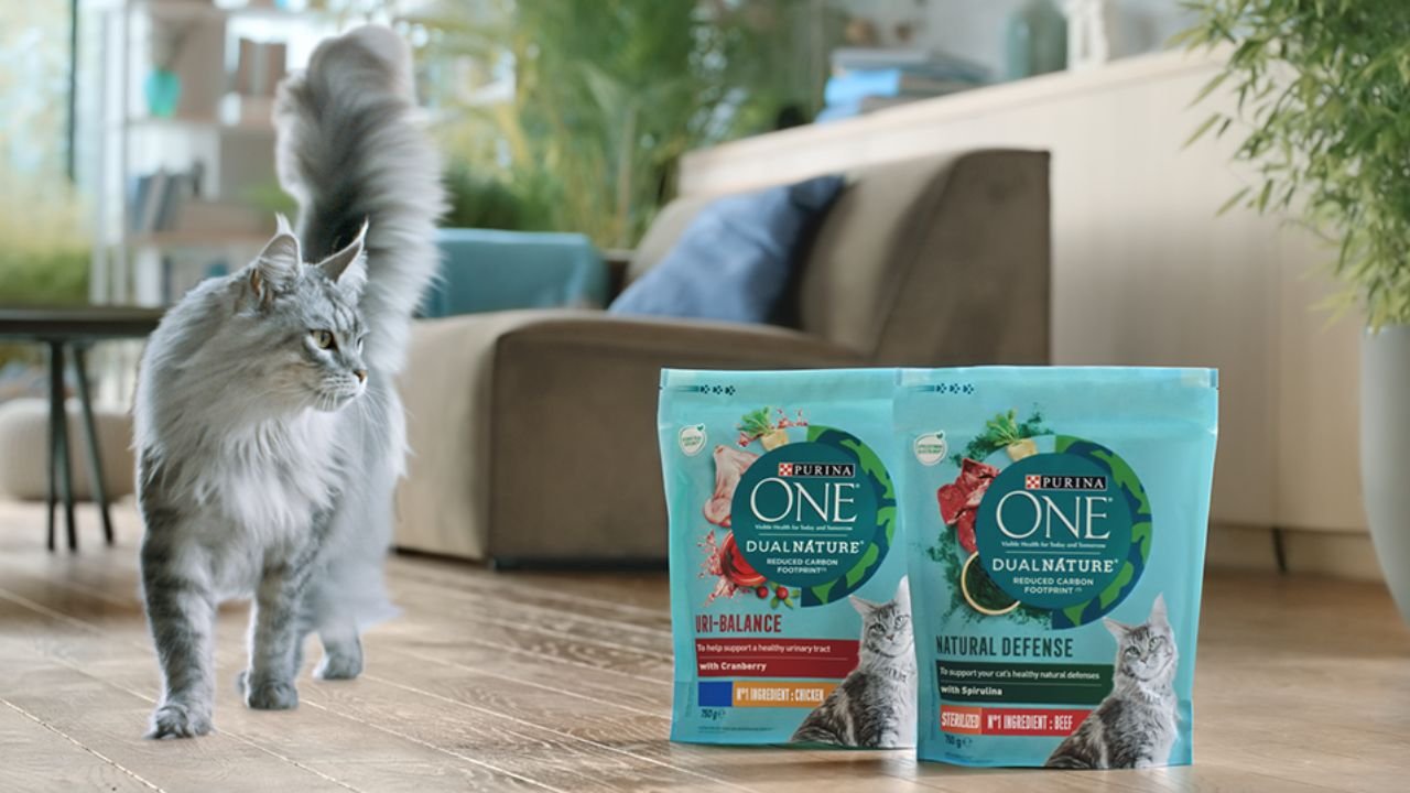 Purina ONE Cat Food Review
