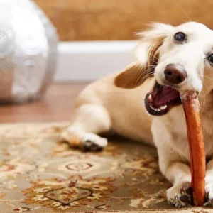 What Is a Bully Stick?