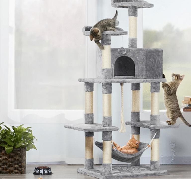 Best Cat Tree for Large Cats