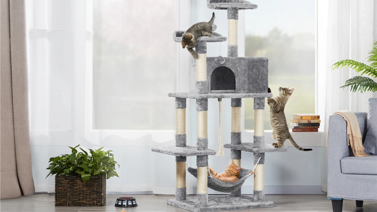 Best Cat Tree for Large Cats
