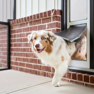 Dog Screen Door