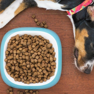 High Fiber Dog Food