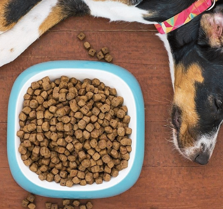 High Fiber Dog Food