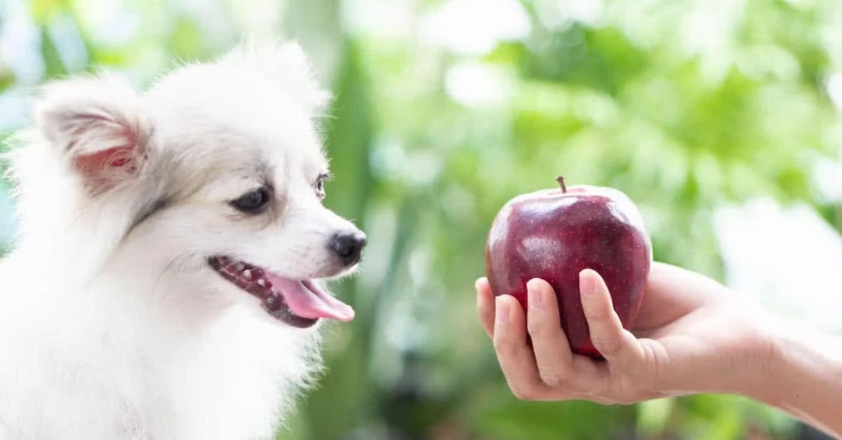 Can Dogs Eat Apples