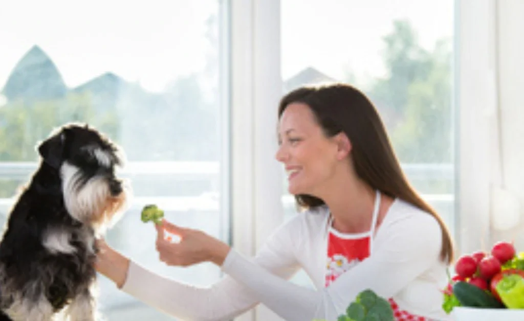 Can Dogs Eat Broccoli 