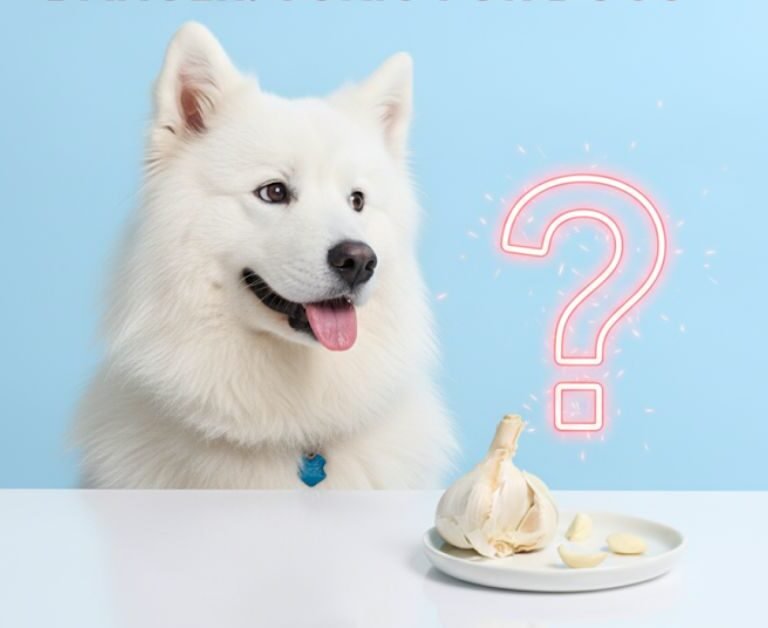 Can Dogs Eat Garlic
