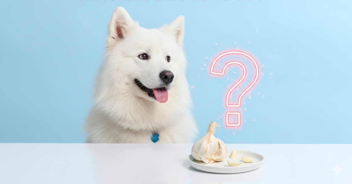Can Dogs Eat Garlic