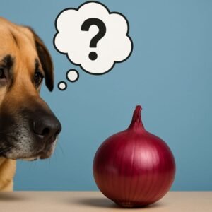 Can Dogs Eat Onions
