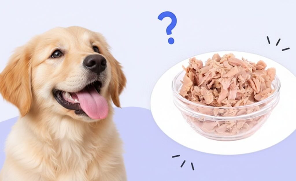 Can Dogs Eat Tuna