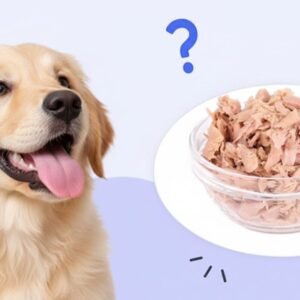 Can Dogs Eat Tuna