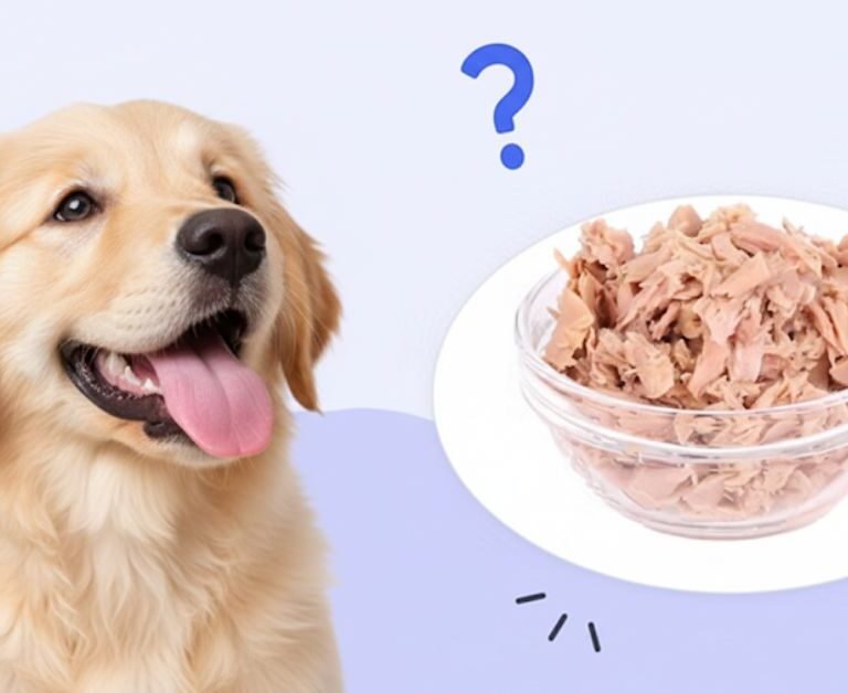 Can Dogs Eat Tuna