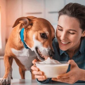 Can Dogs Eat Yogurt | MyPetVista