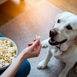 Can Dogs Have Popcorn