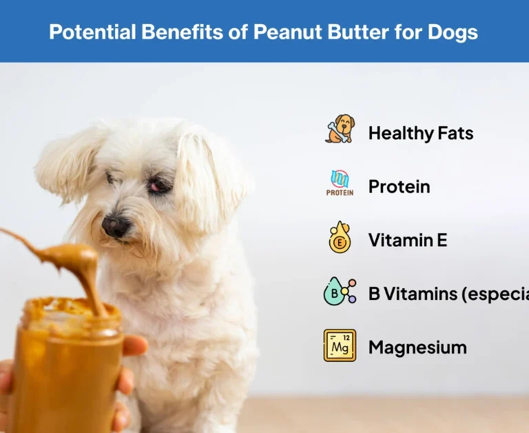 can dogs eat peanut butter | MyPetVista