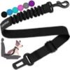 dog seat belt