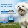 Best Dog Bark Collar