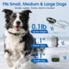Best Dog Bark Collar