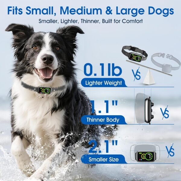 Best Dog Bark Collar