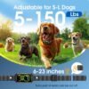 Best Dog Bark Collar