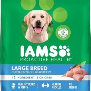 🍗 IAMS Proactive Health Large Breed Adult Dry Dog Food – 40 lb Bag (Real Chicken Recipe)
