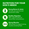 🍗 IAMS Proactive Health Large Breed Adult Dry Dog Food – 40 lb Bag (Real Chicken Recipe)
