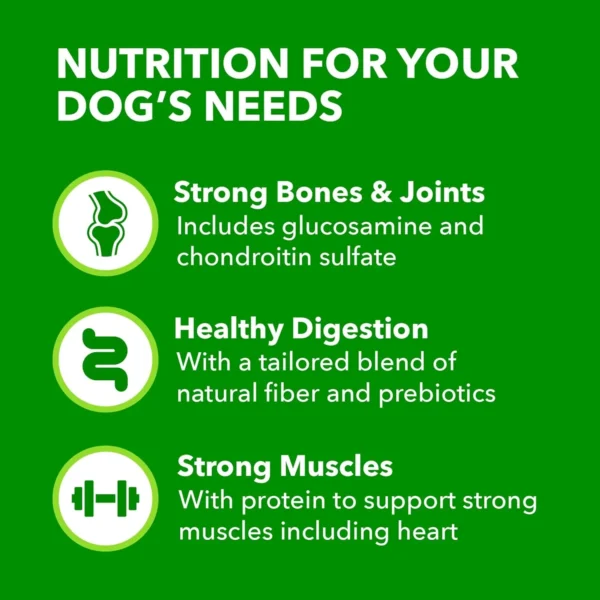 🍗 IAMS Proactive Health Large Breed Adult Dry Dog Food – 40 lb Bag (Real Chicken Recipe)