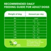 🍗 IAMS Proactive Health Large Breed Adult Dry Dog Food – 40 lb Bag (Real Chicken Recipe)