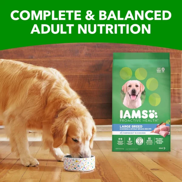 🍗 IAMS Proactive Health Large Breed Adult Dry Dog Food – 40 lb Bag (Real Chicken Recipe)