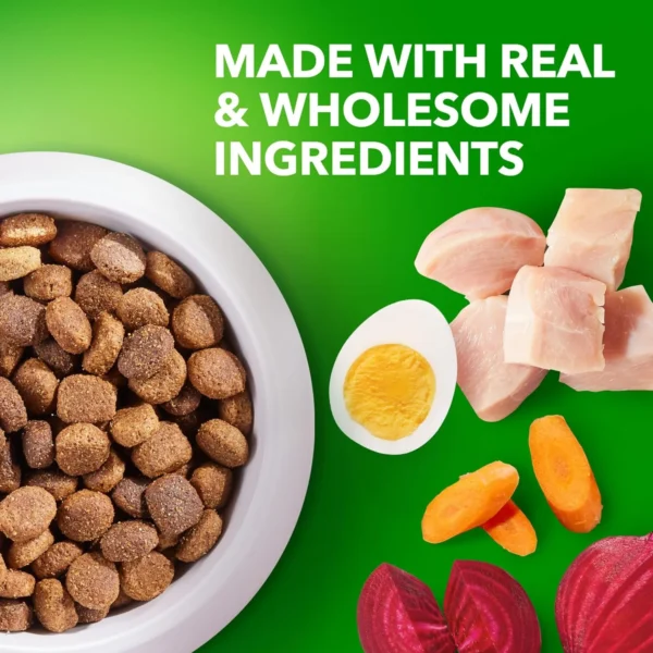 🍗 IAMS Proactive Health Large Breed Adult Dry Dog Food – 40 lb Bag (Real Chicken Recipe)