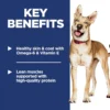 81M4RxIzcsL._AC_SL1500 Hill's Science Diet Adult 1–6 Dry Dog Food – Chicken & Barley (5 lb Bag)