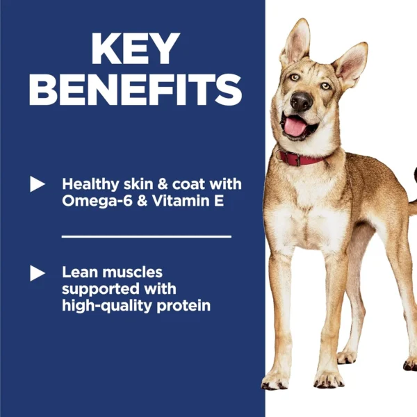 81M4RxIzcsL._AC_SL1500 Hill's Science Diet Adult 1–6 Dry Dog Food – Chicken & Barley (5 lb Bag)
