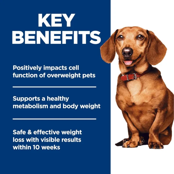 Hill's Science Diet Perfect Weight Small & Mini Breeds – Adult 1–6 Dry Dog Food, Chicken Recipe (12.5 lb Bag)
