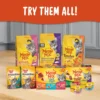 Meow Mix Gravy Bursts Dry Cat Food, Chicken, 3 LB Bag