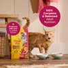 Meow Mix Gravy Bursts Dry Cat Food, Chicken, 3 LB Bag