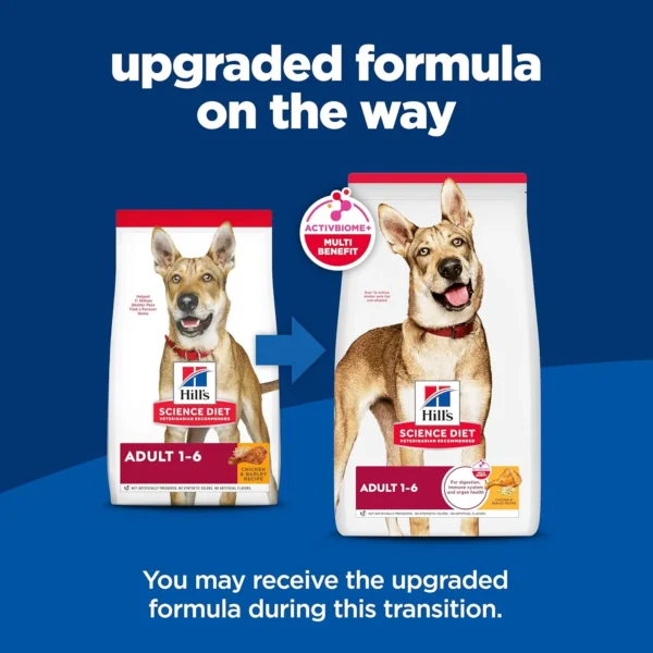 81s3WpMUgoL._AC_SL1500 Hill's Science Diet Adult 1–6 Dry Dog Food – Chicken & Barley (5 lb Bag)