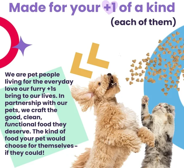 I AND LOVE AND YOU Feed Meow Indoor Wet Cat Food - Mackerel - Packed with Protein and Fiber, Grain Free, Shredded, 3oz Pack of 12
