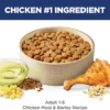 91jlCq8w7lL._AC_SL1500 Hill's Science Diet Adult 1–6 Dry Dog Food – Chicken & Barley (5 lb Bag)
