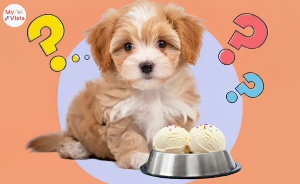 Can Dogs Eat Ice Cream