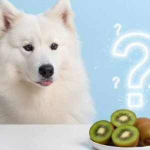 Can Dogs Eat Kiwi