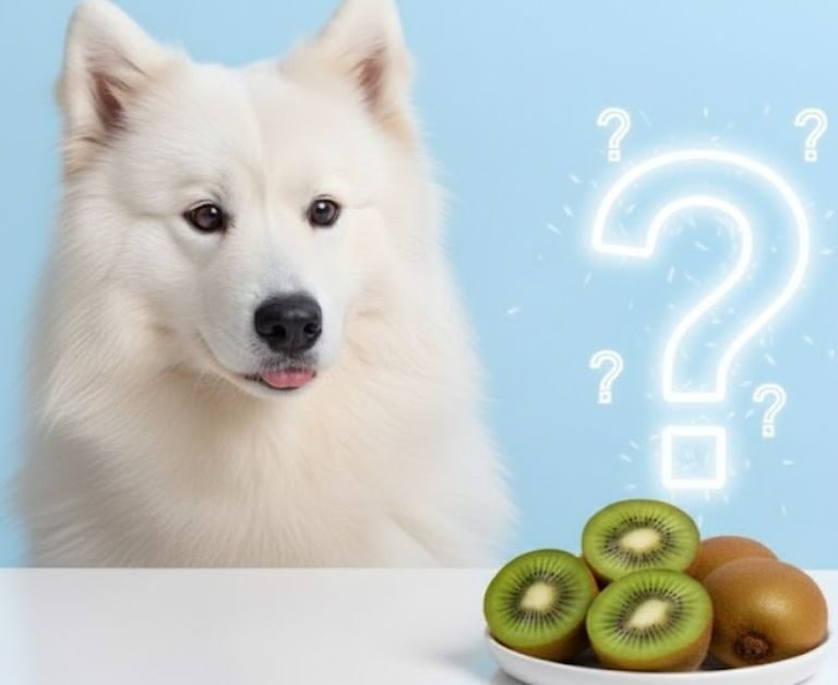 Can Dogs Eat Kiwi
