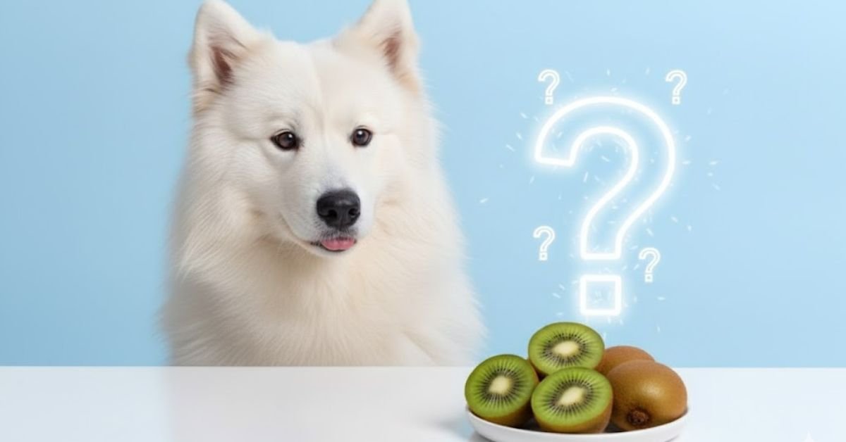 Can Dogs Eat Kiwi