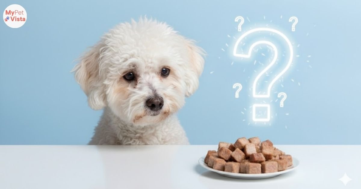 can dogs eat pork